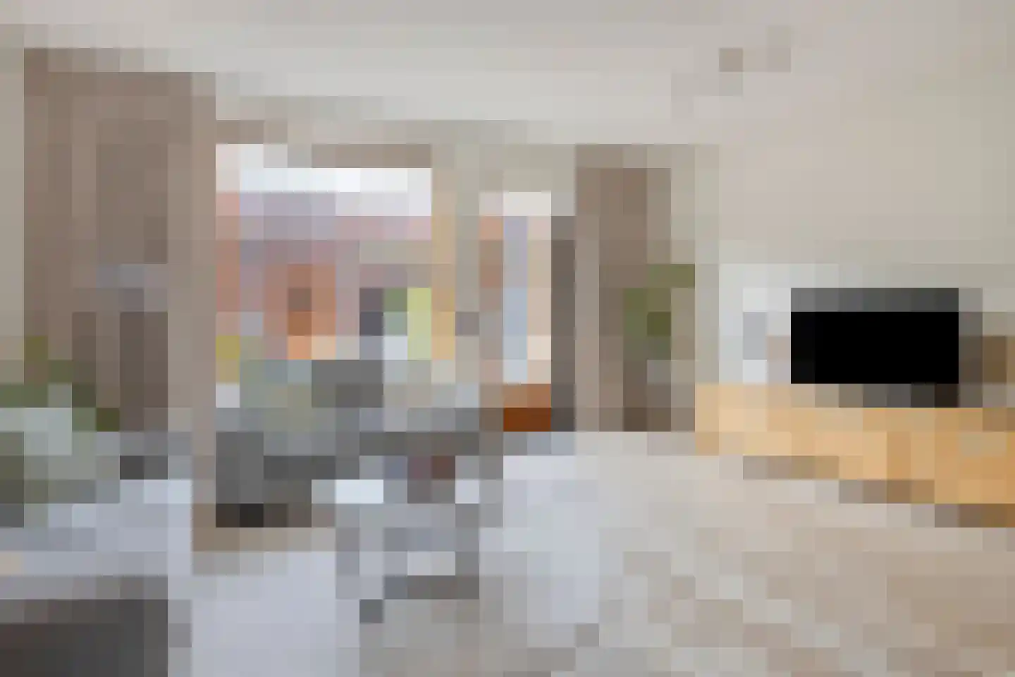 Graskarper 35 Eindhoven thumbnail 8