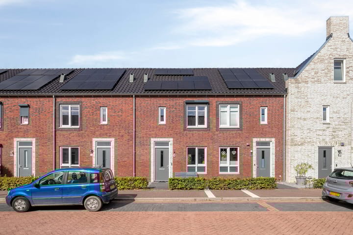 Graskarper 6 in Rossum Foto