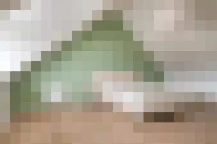 Graskarper 6 Rossum thumbnail 23