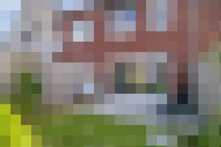 Graskarper 6 Rossum thumbnail 24