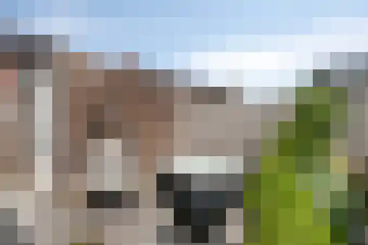 Graskarper 6 Rossum thumbnail 26