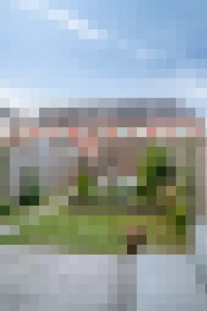 Graskarper 6 Rossum thumbnail 27