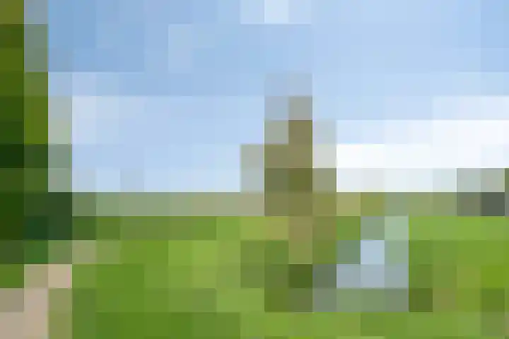 Graskarper 6 Rossum thumbnail 29