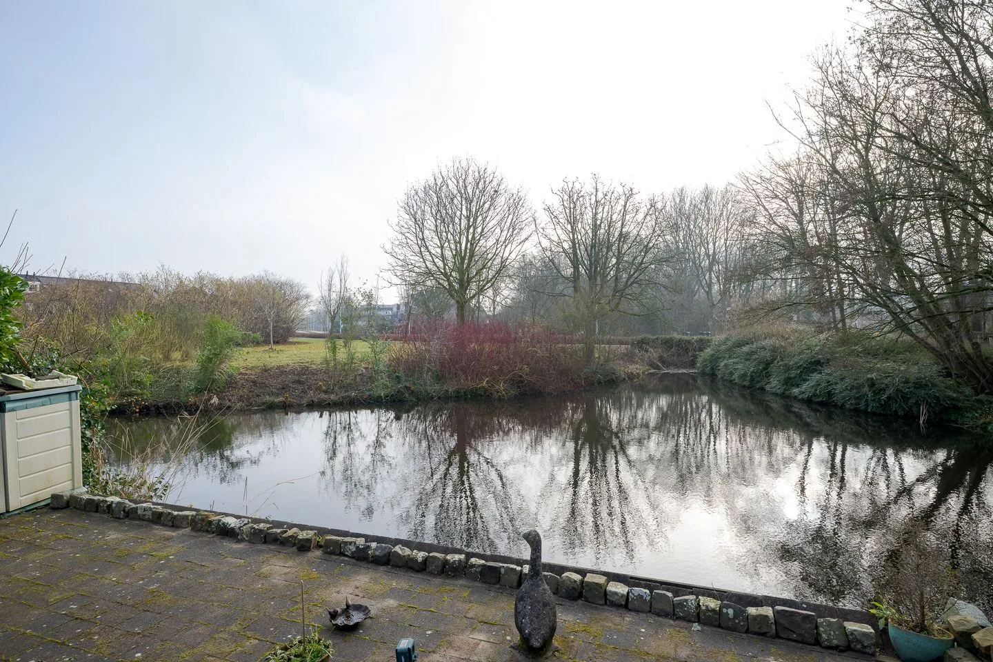 Graskarper 8 Leiden thumbnail 49