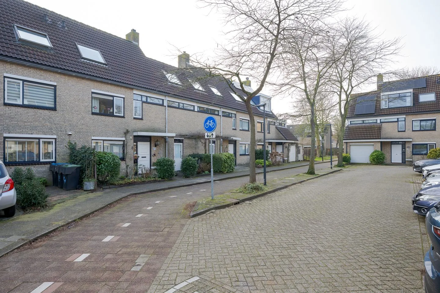 Graskarper 8 Leiden thumbnail 8