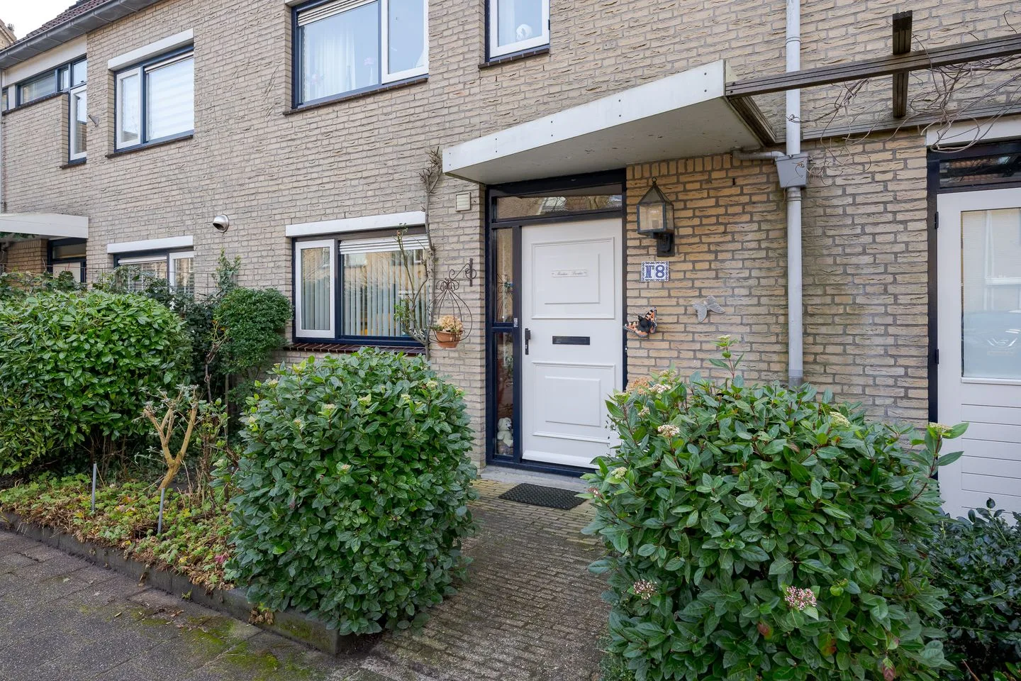 Graskarper 8 Leiden thumbnail 9
