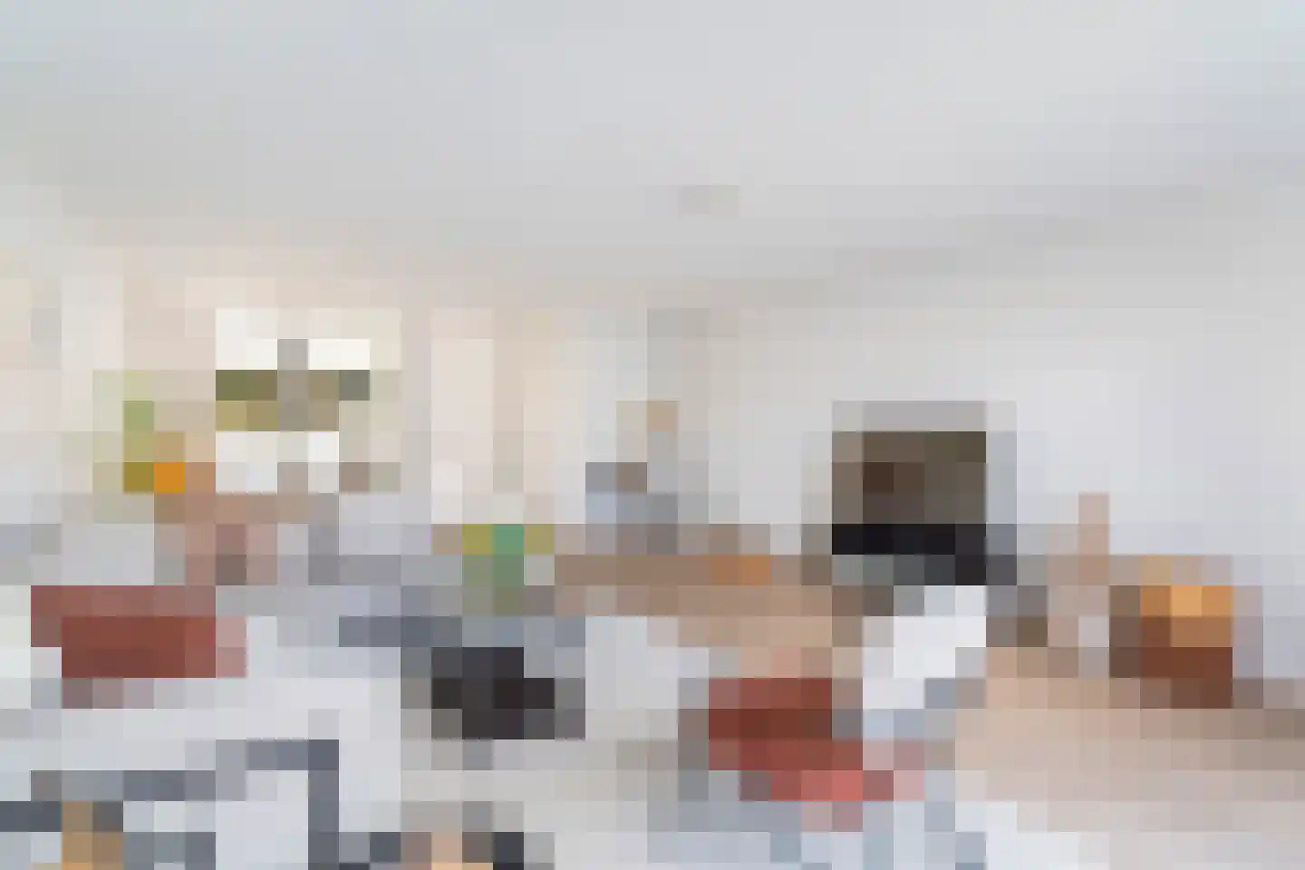 Graskarpersingel 15 Den Haag thumbnail 16