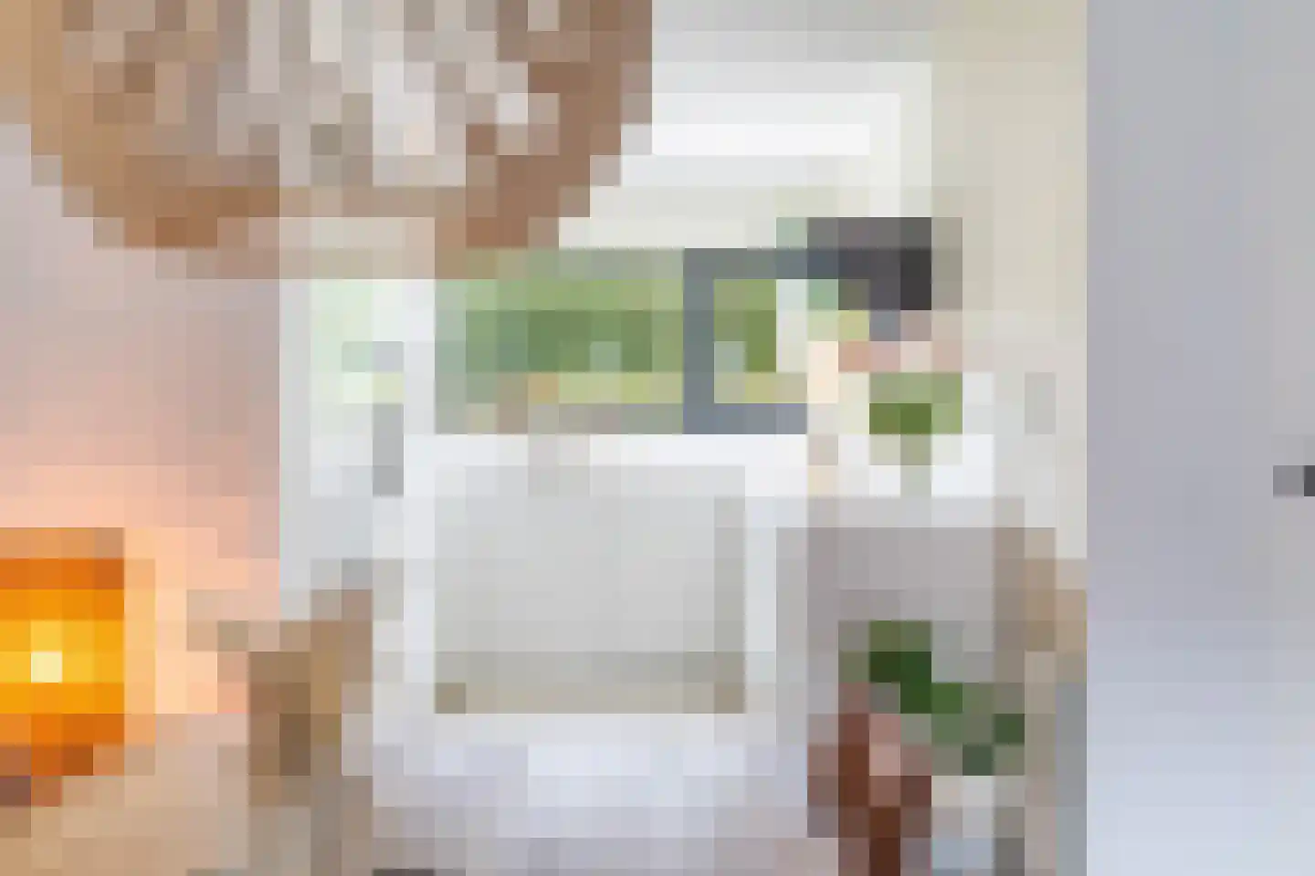 Graskarpersingel 15 Den Haag thumbnail 19