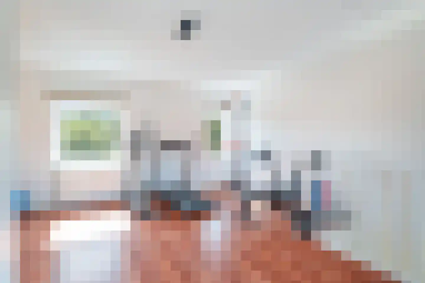 Graskarpersingel 15 Den Haag thumbnail 47