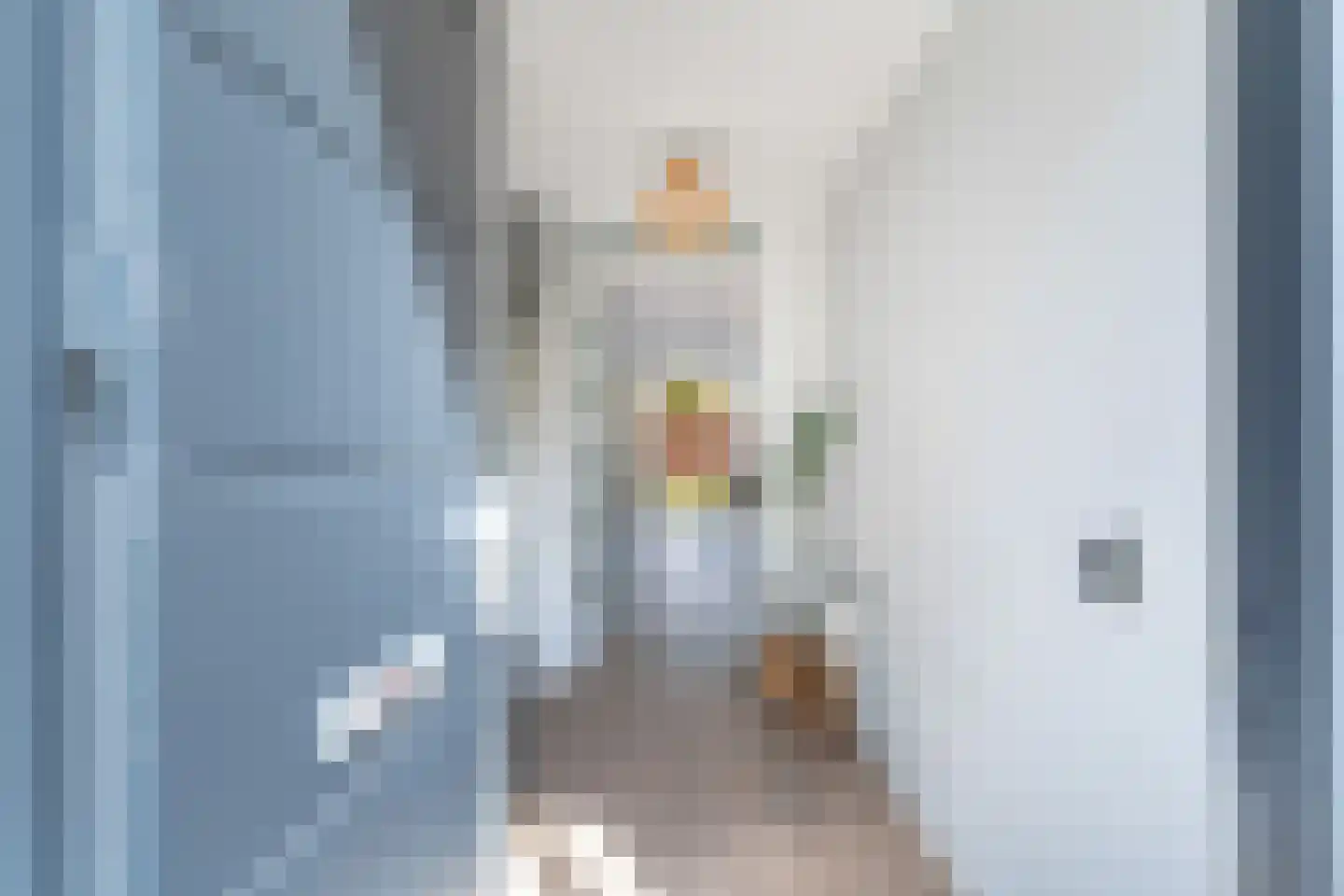 Graskarpersingel 15 Den Haag thumbnail 8