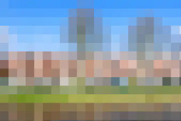 Graskarpersingel 50 in Den Haag