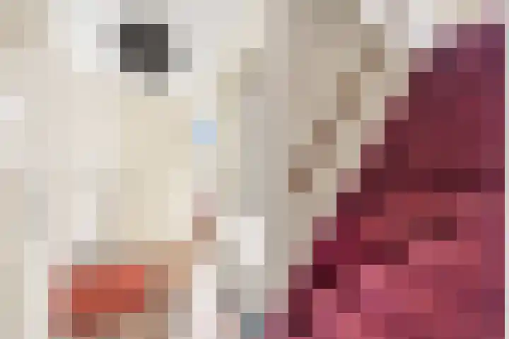 Graskarpersingel 50 Den Haag thumbnail 10