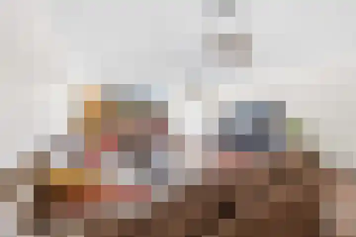 Graskarpersingel 50 Den Haag thumbnail 12