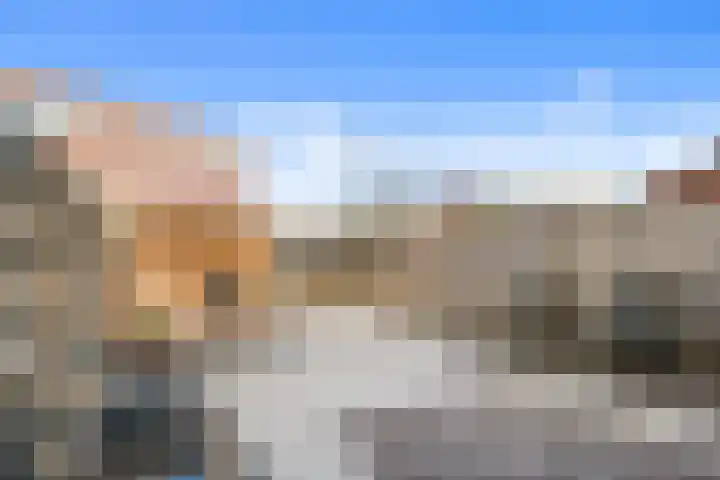 Graskarpersingel 50 Den Haag thumbnail 18