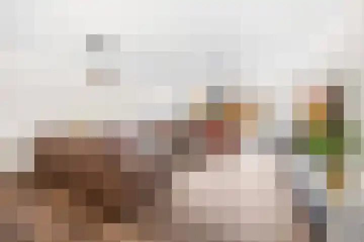 Graskarpersingel 50 Den Haag foto 2