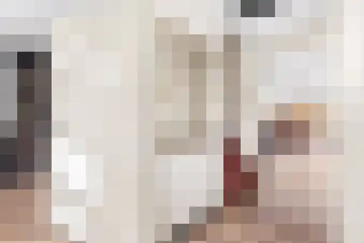 Graskarpersingel 50 Den Haag thumbnail 20