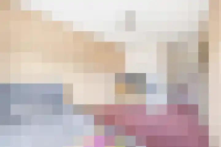 Graskarpersingel 50 Den Haag thumbnail 23