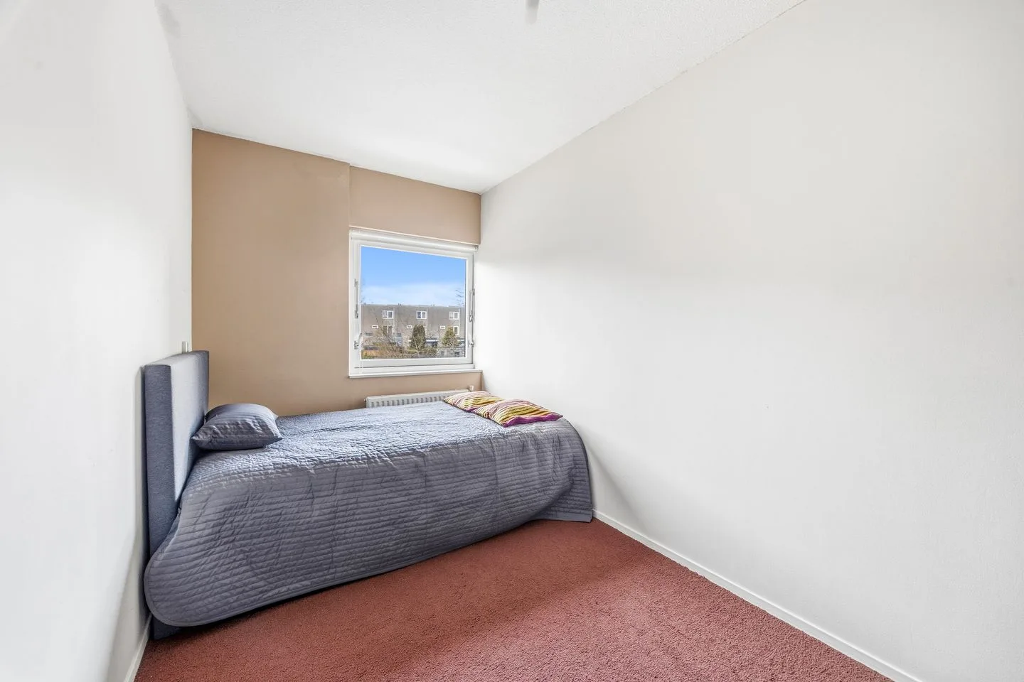 Graskarpersingel 50 Den Haag thumbnail 25