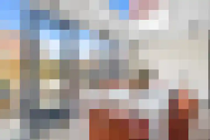 Graskarpersingel 50 Den Haag foto 3