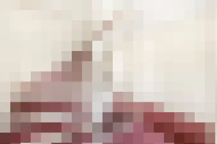 Graskarpersingel 50 Den Haag thumbnail 30