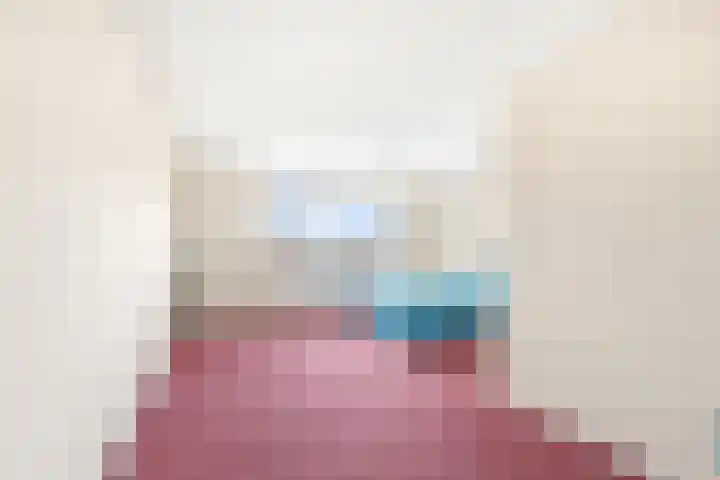 Graskarpersingel 50 Den Haag thumbnail 31