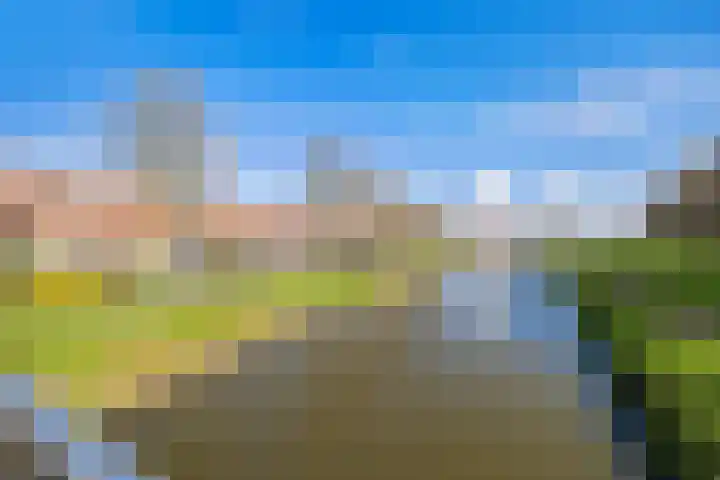 Graskarpersingel 50 Den Haag thumbnail 36