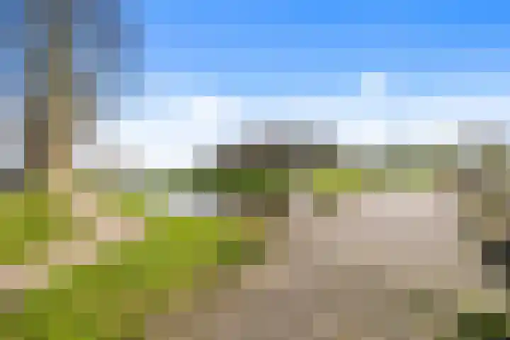 Graskarpersingel 50 Den Haag thumbnail 37