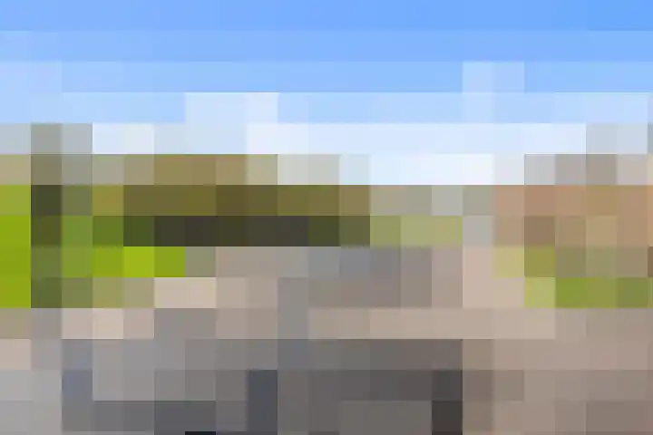 Graskarpersingel 50 Den Haag thumbnail 38