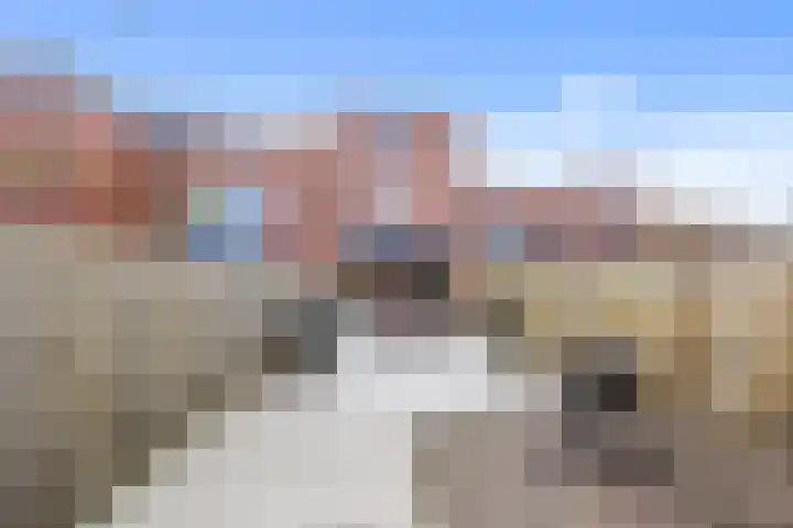 Graskarpersingel 50 Den Haag thumbnail 4