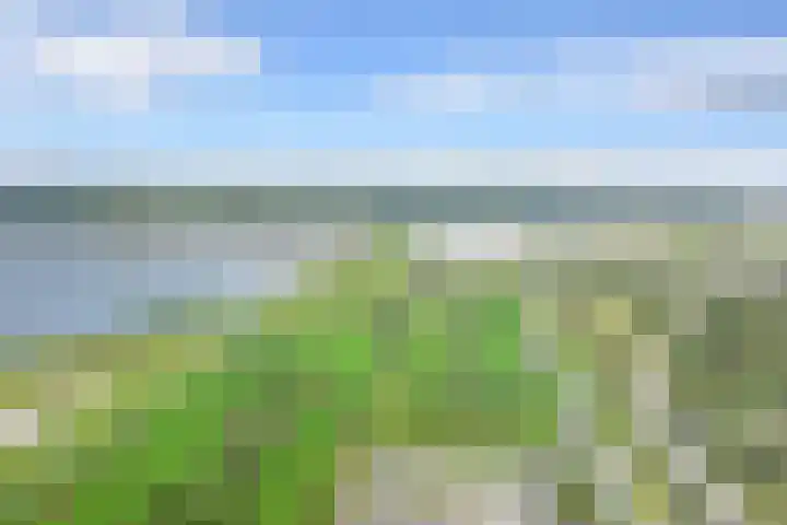 Graskarpersingel 50 Den Haag thumbnail 40