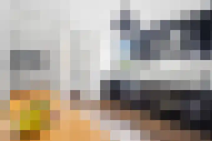 Graskarpersingel 50 Den Haag thumbnail 5