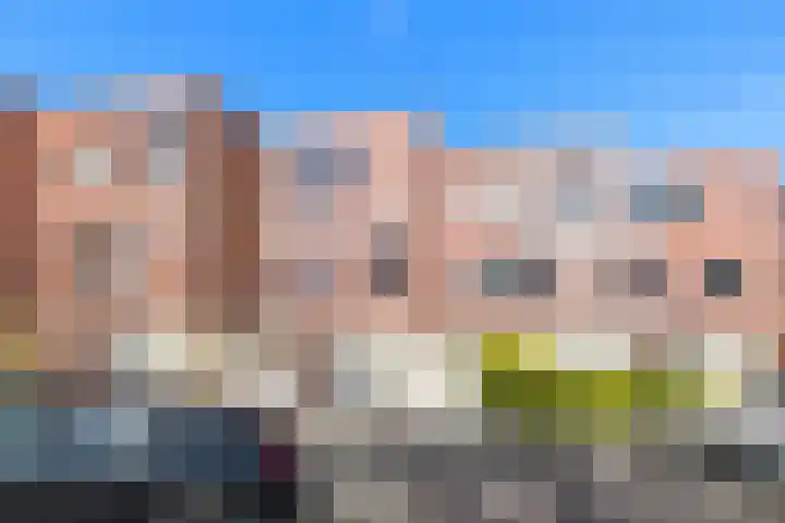 Graskarpersingel 50 Den Haag thumbnail 8