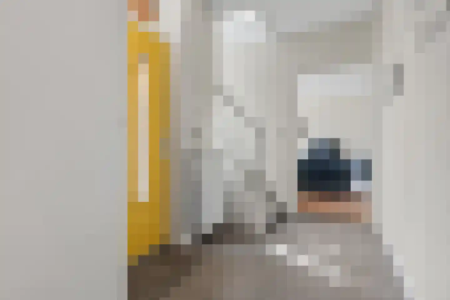 Graskers 11 Eindhoven thumbnail 12