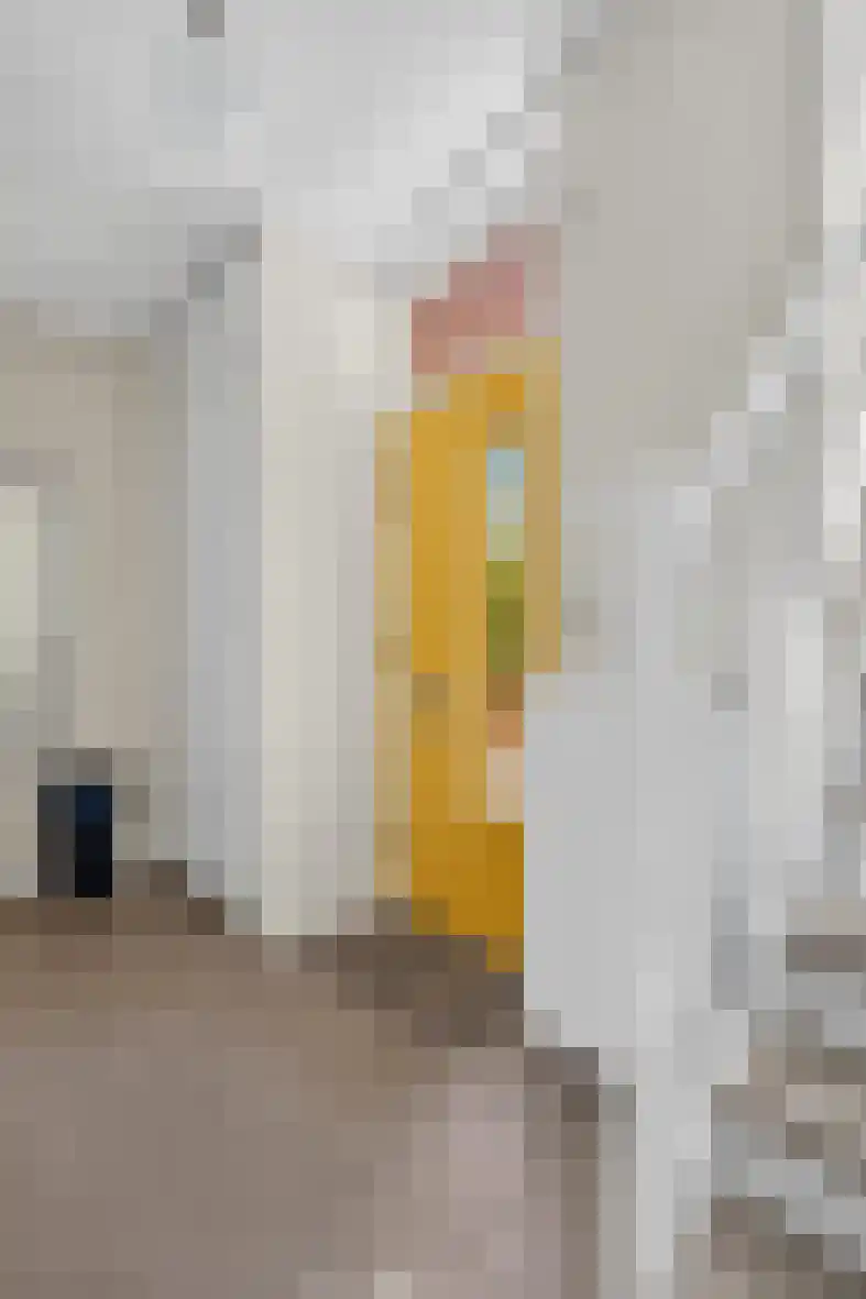Graskers 11 Eindhoven thumbnail 13