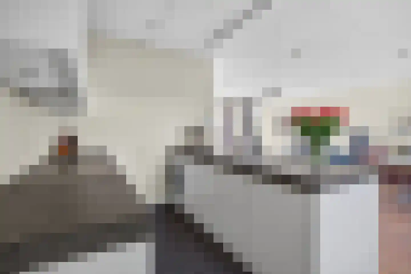 Graskers 11 Eindhoven thumbnail 25