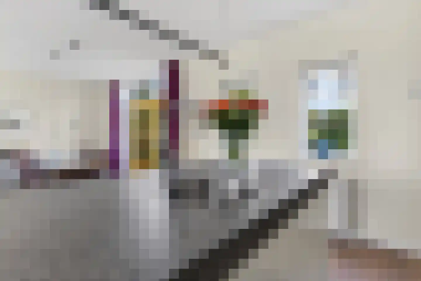 Graskers 11 Eindhoven thumbnail 26