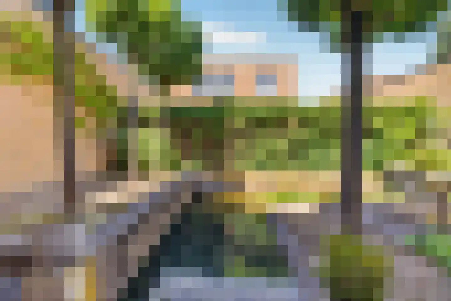 Graskers 11 Eindhoven thumbnail 50