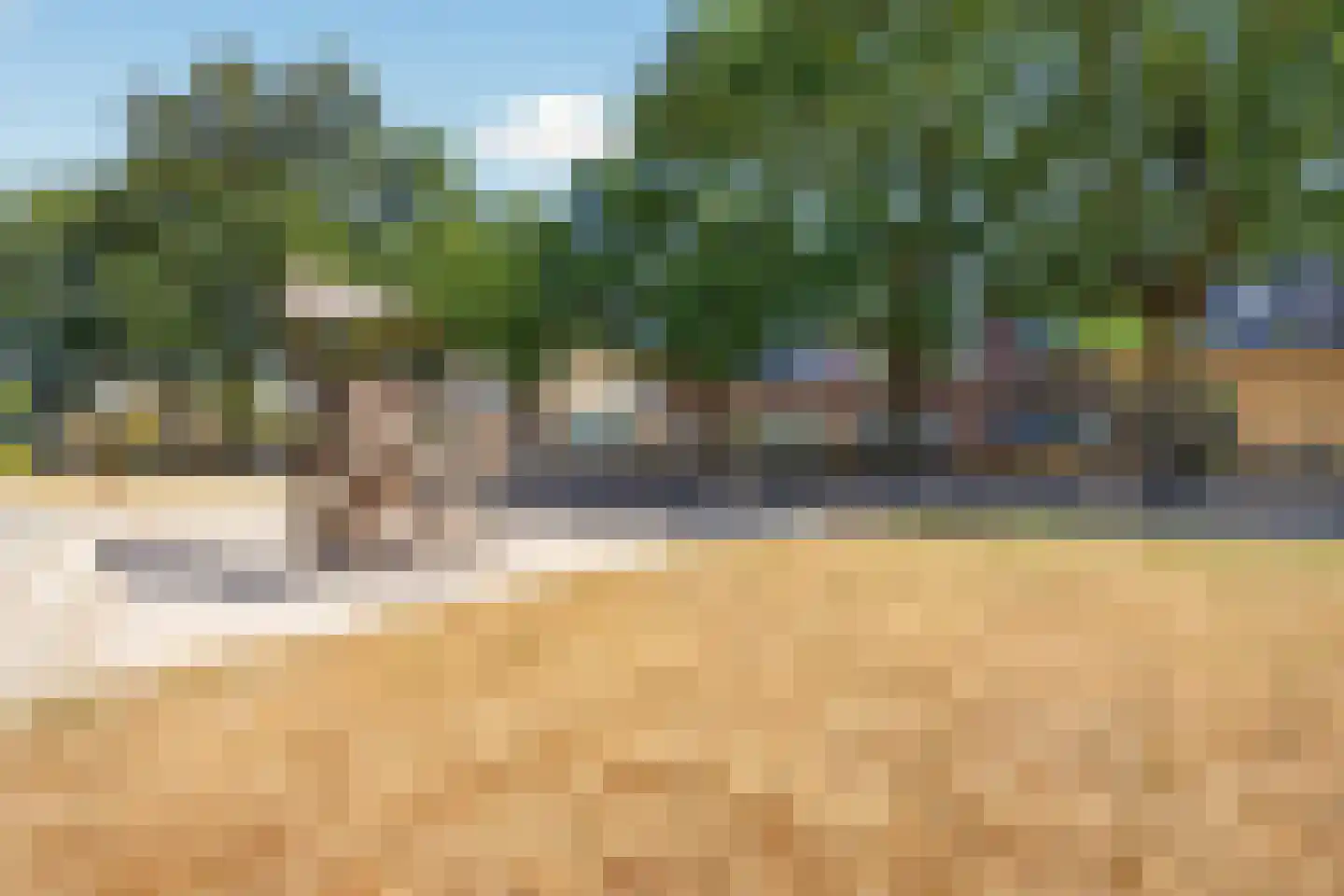 Graskers 11 Eindhoven thumbnail 53