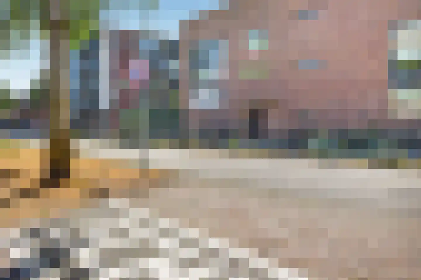 Graskers 11 Eindhoven thumbnail 55