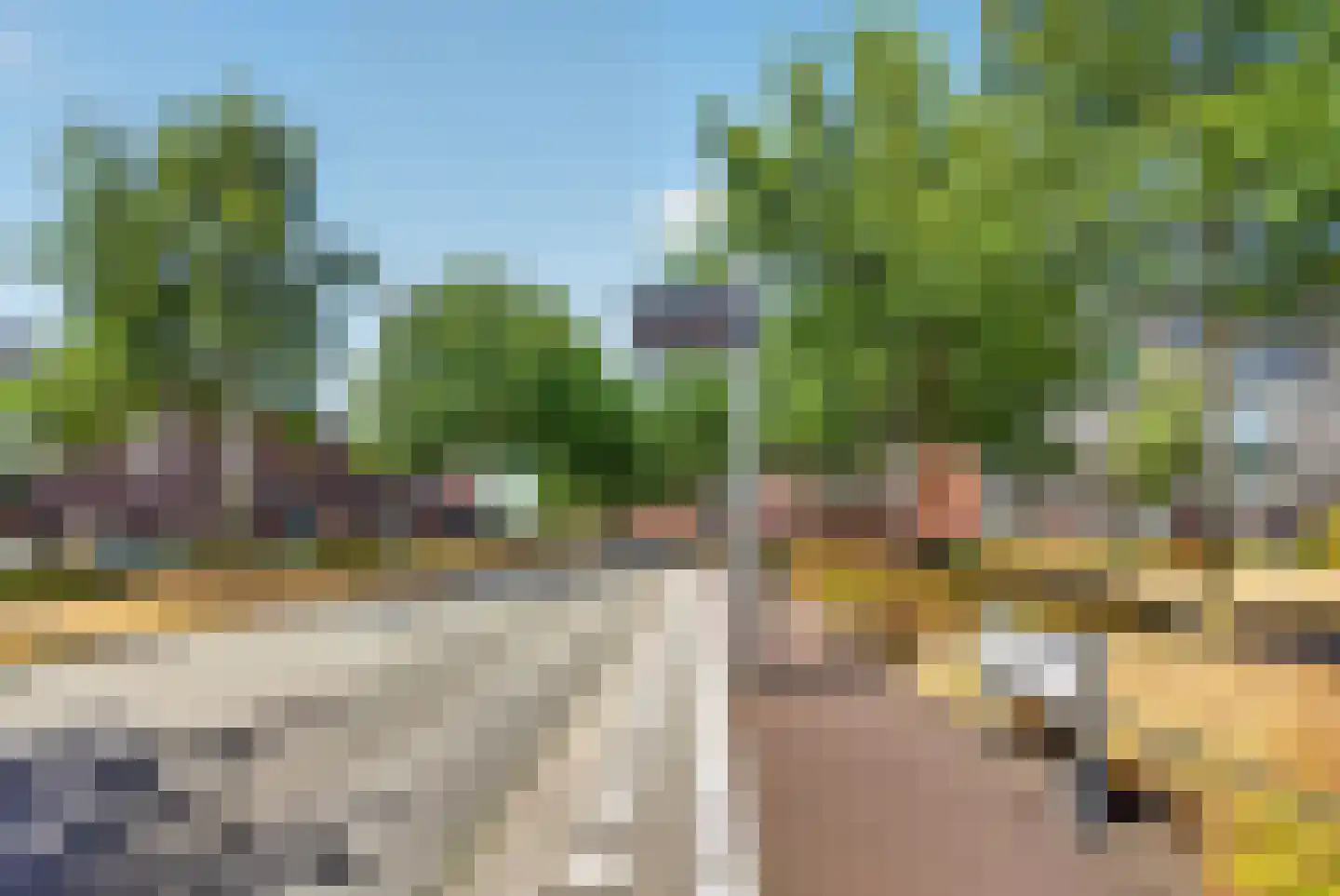 Graskers 11 Eindhoven thumbnail 56