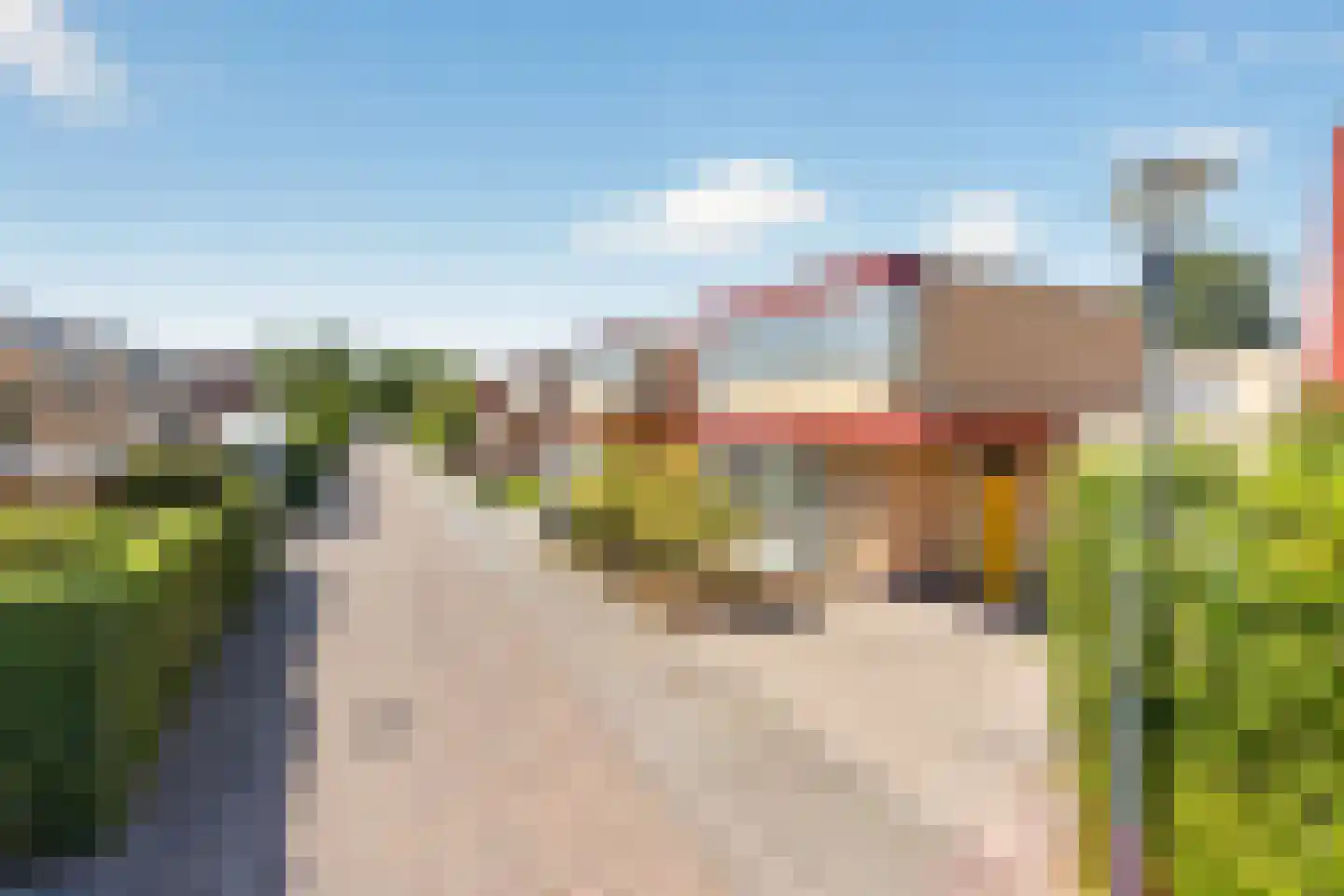 Graskers 11 Eindhoven thumbnail 8