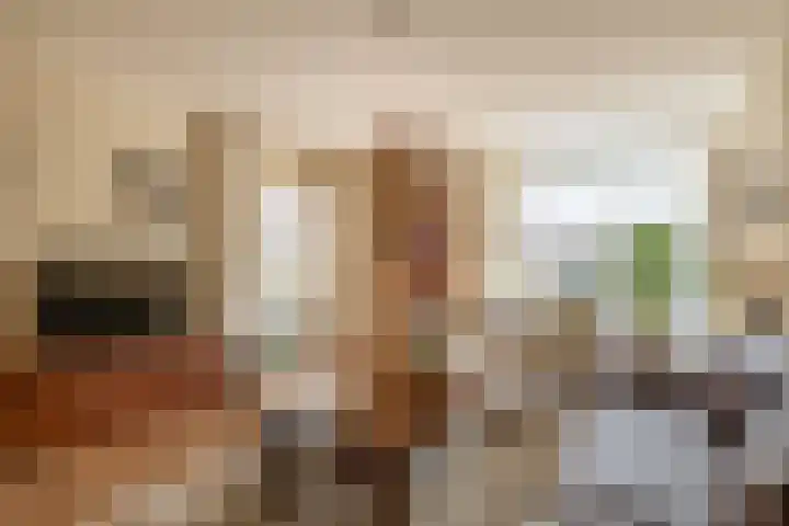 Graskers 19 Eindhoven thumbnail 10