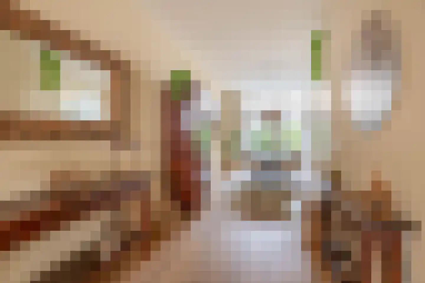Graskers 19 Eindhoven thumbnail 15