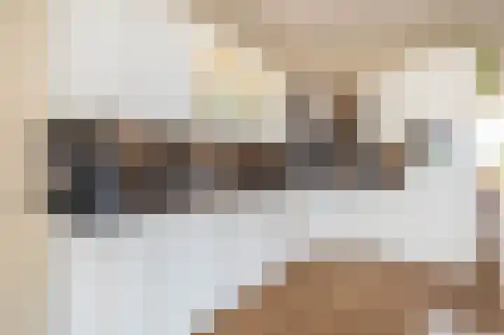 Graskers 19 Eindhoven thumbnail 17