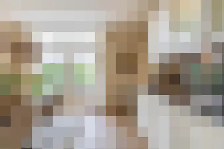 Graskers 19 Eindhoven thumbnail 18