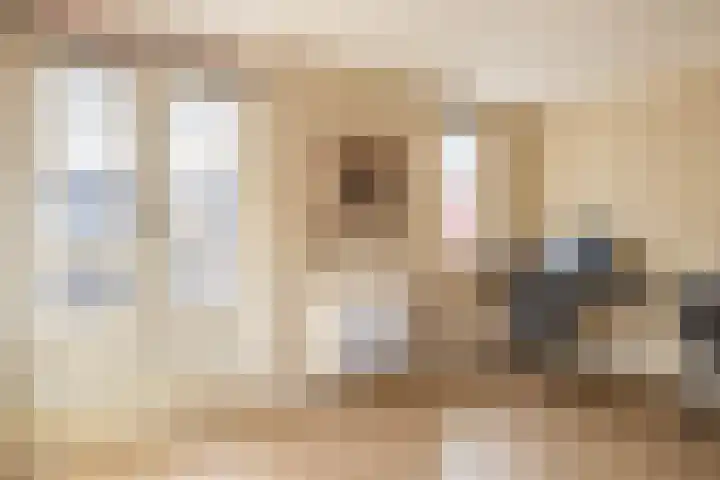 Graskers 19 Eindhoven thumbnail 27