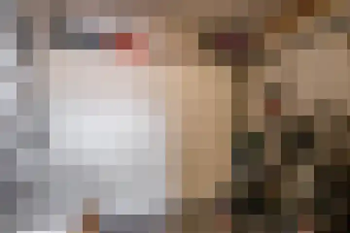 Graskers 19 Eindhoven thumbnail 34
