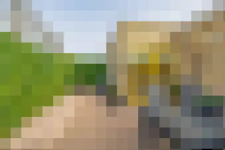 Graskers 19 Eindhoven thumbnail 37