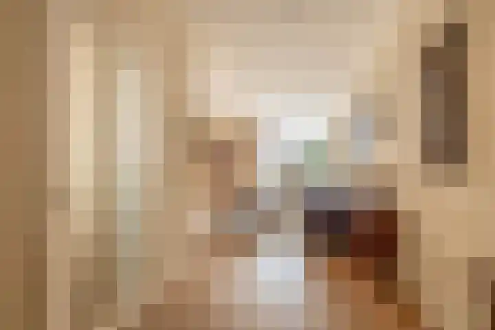 Graskers 19 Eindhoven thumbnail 9