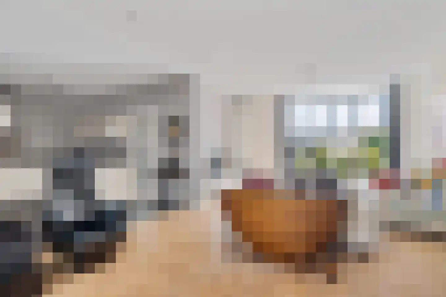 Graskers 5 Eindhoven thumbnail 11
